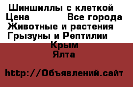 Шиншиллы с клеткой › Цена ­ 8 000 - Все города Животные и растения » Грызуны и Рептилии   . Крым,Ялта